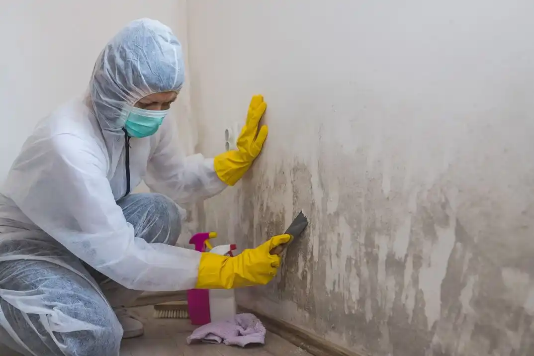 water damage restoration service North End